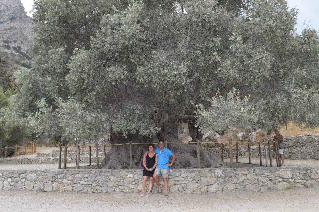 Tholos Rooms Kavousi  Bagian luar foto